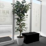 店舗風景 | 買取大吉 ドラッグユタカ西招提店